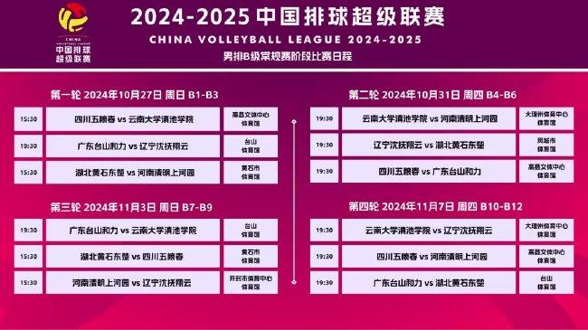 2025新澳精准正版免費資料或2025年正版资料免费,全面释义、解释和落实和警惕虚假宣-全面释义、解释和落实